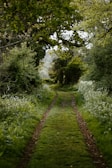 A narrow path leading to a hidden waterfall framed by vibrant flowers.