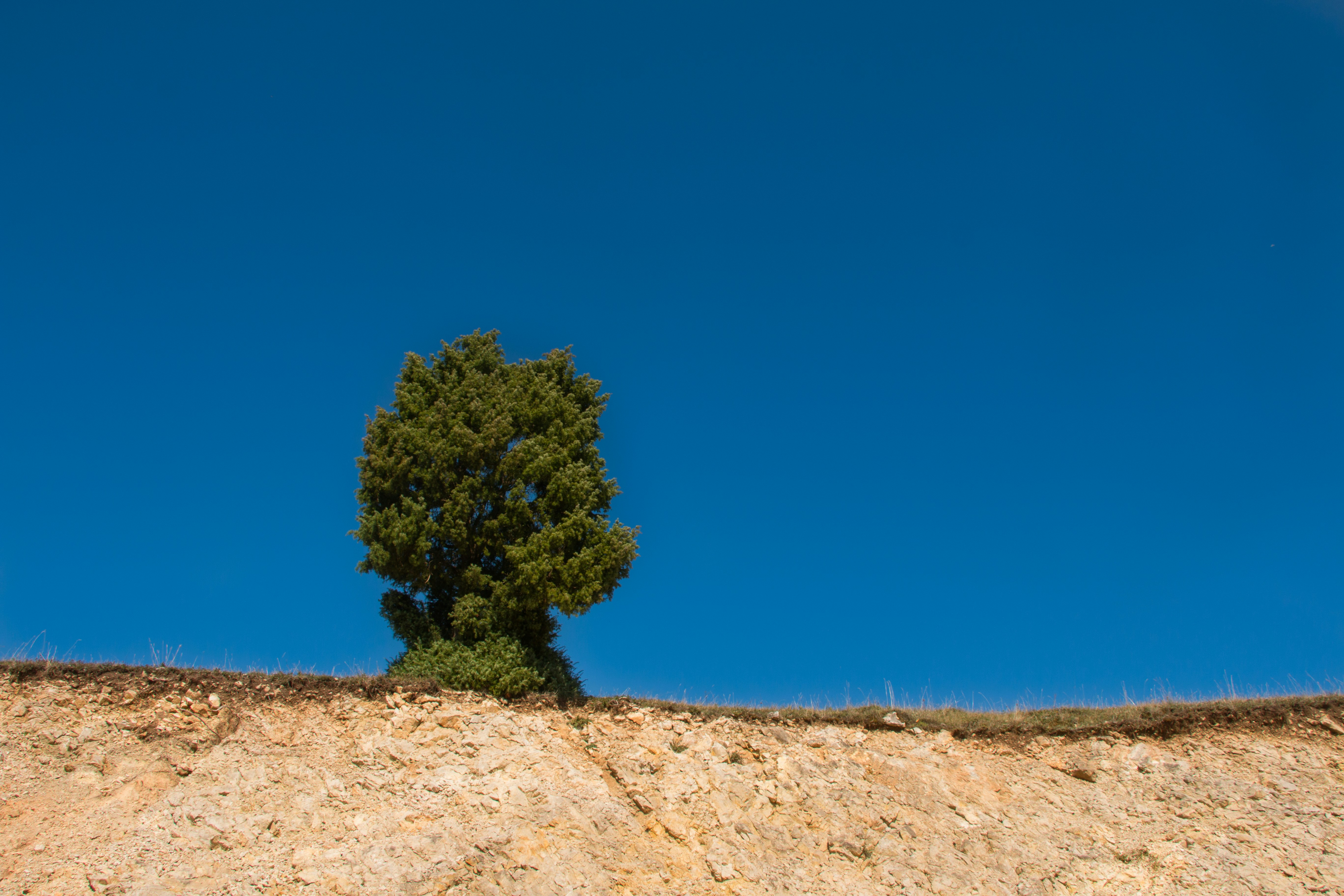 Photo by vasilevalcan
