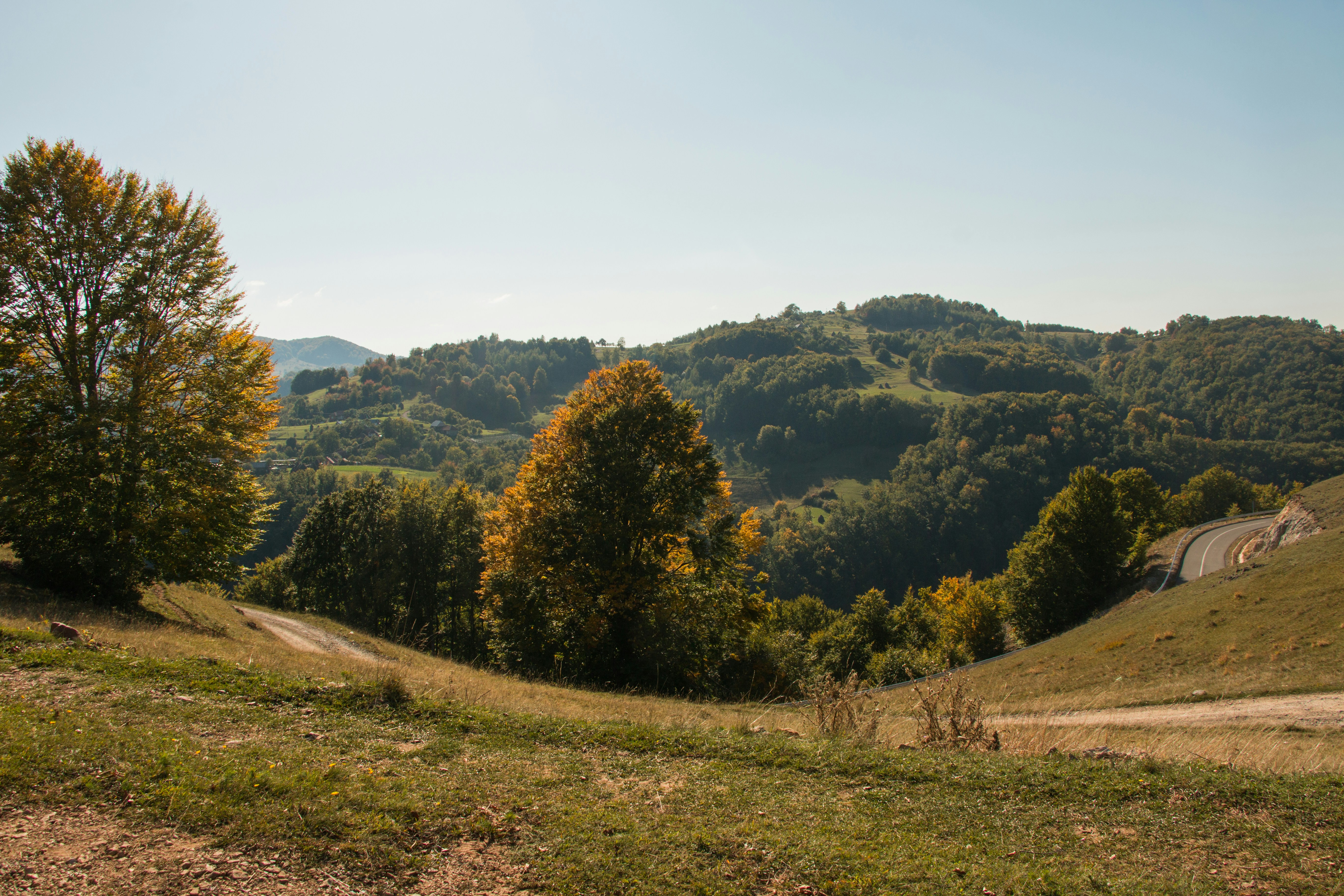 Photo by vasilevalcan