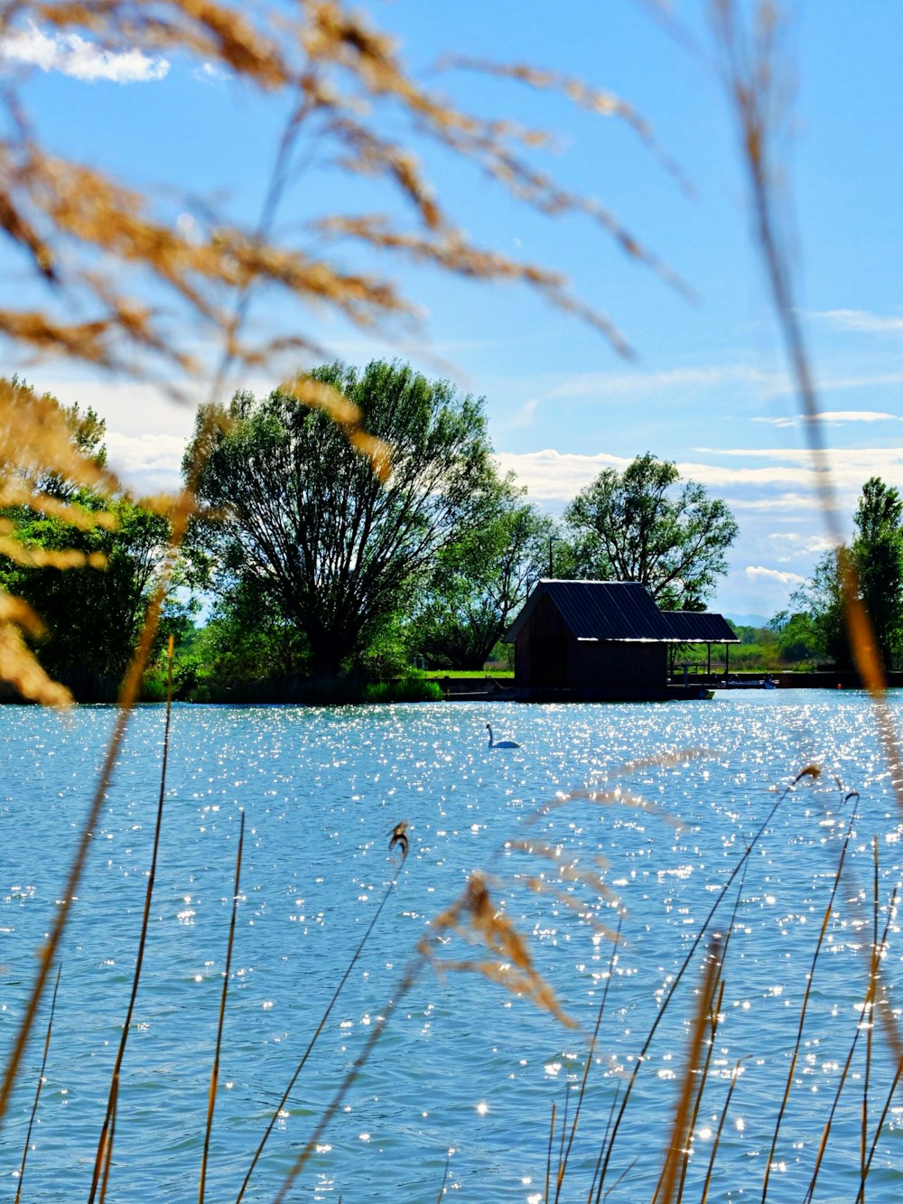 brown wooden house on body of water during daytime