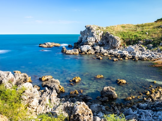 rocky shore with rocks and green grass during daytime in Tyulenovo Bulgaria