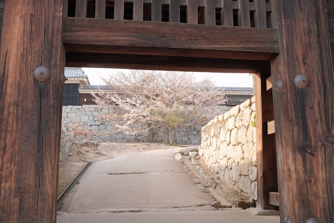 brown wooden bridge over the river