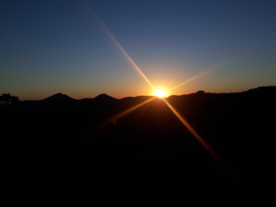 Sunset over the rolling hills of Campora, with silhouettes of olive trees and bees in flight.
