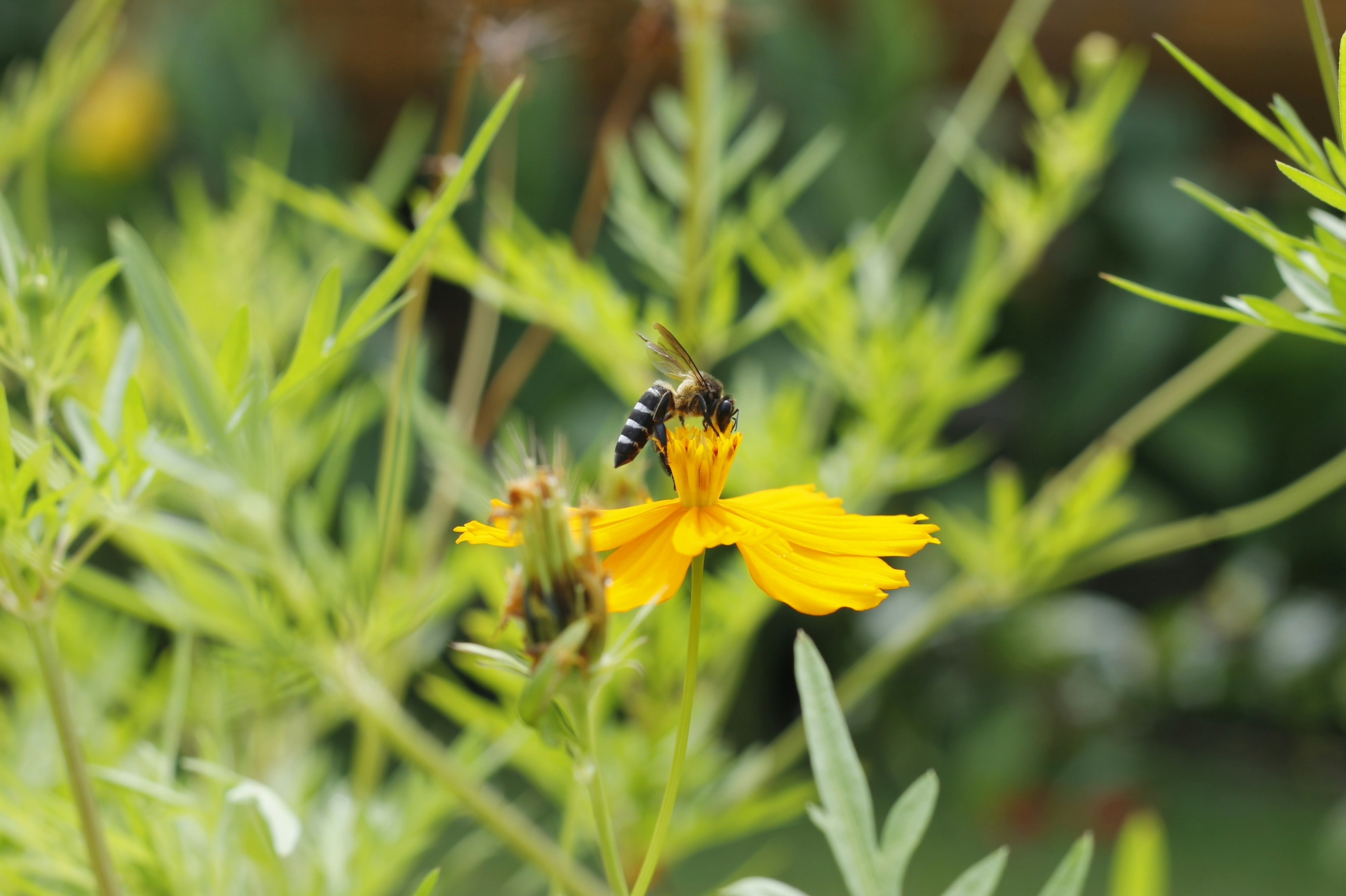 Photo by really_cortez