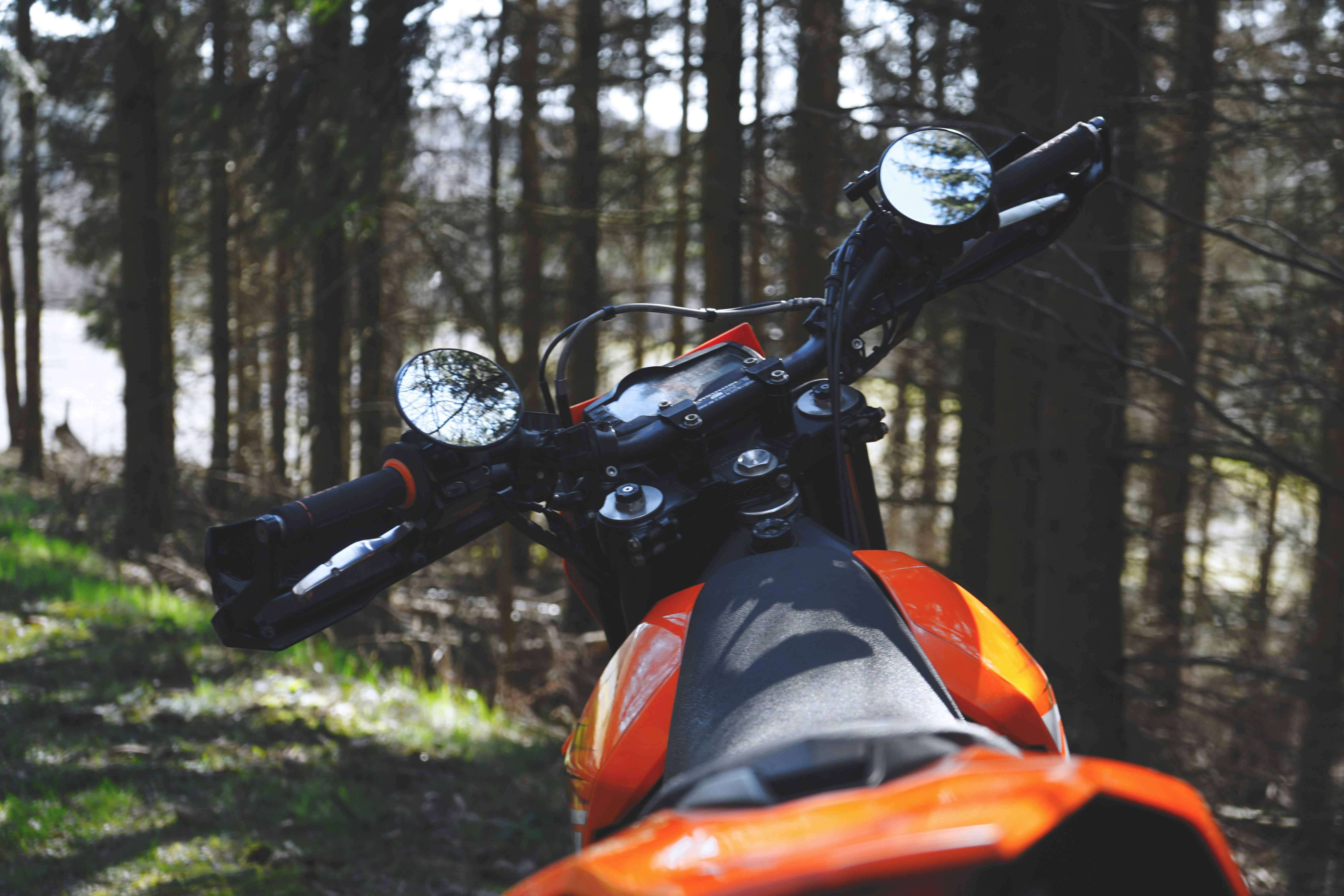 KTM in the woods.