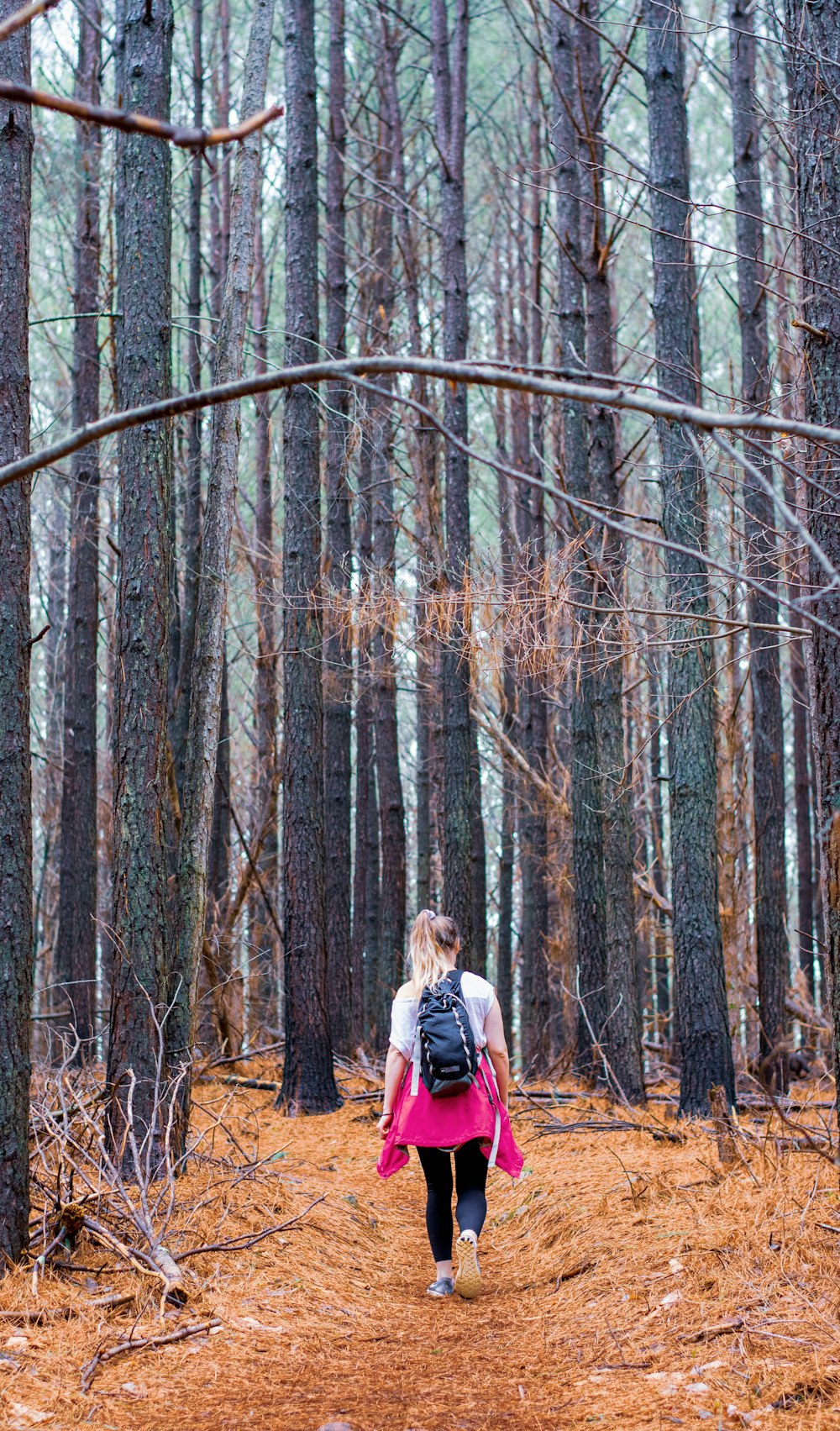 Mujer en chaqueta roja de pie en medio del bosque durante el día