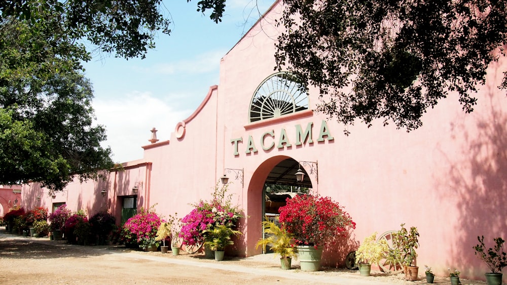 pink and white concrete building