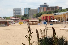 A sandy beach with several buildings in the background, including high-rise apartments and smaller structures with colorful decorations and red curtains. There are beach kiosks and signs like 'WC' indicating restrooms. A few people are walking along the beach, and plants are visible in the foreground.
