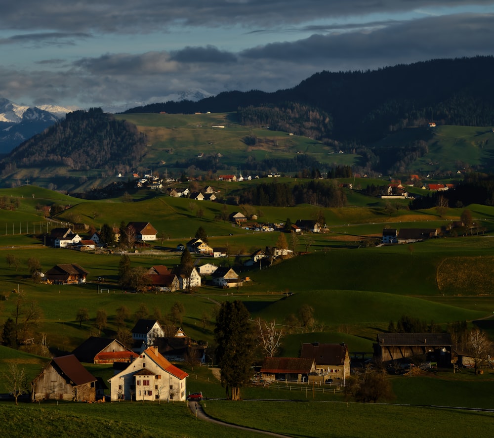 white and brown house on green grass field