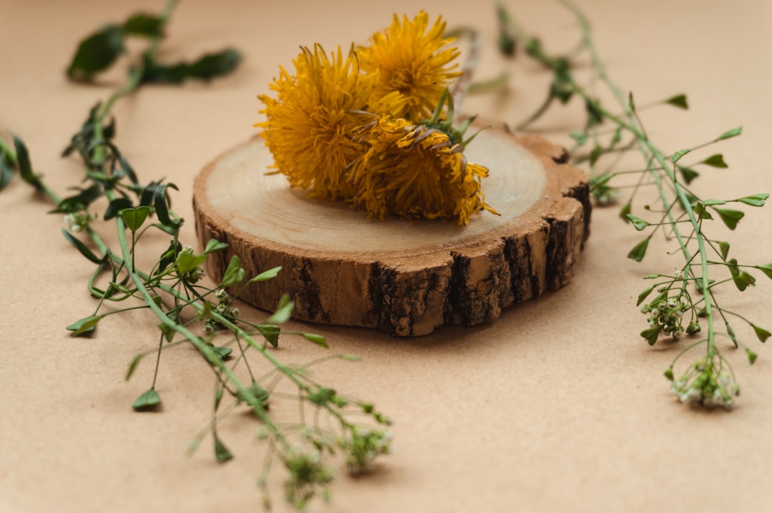 yellow flower on brown wooden log