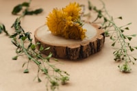 Dandelion Leaf