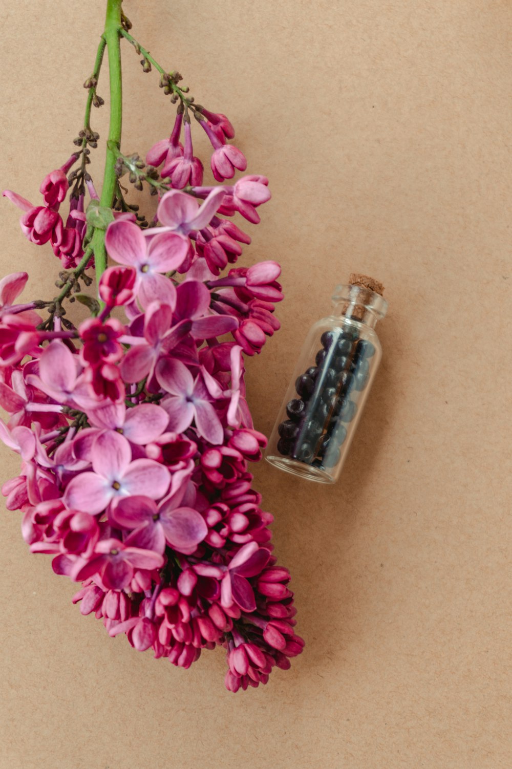 pink flowers beside clear glass bottle