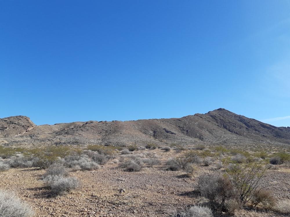 brown mountain under blue sky during daytime