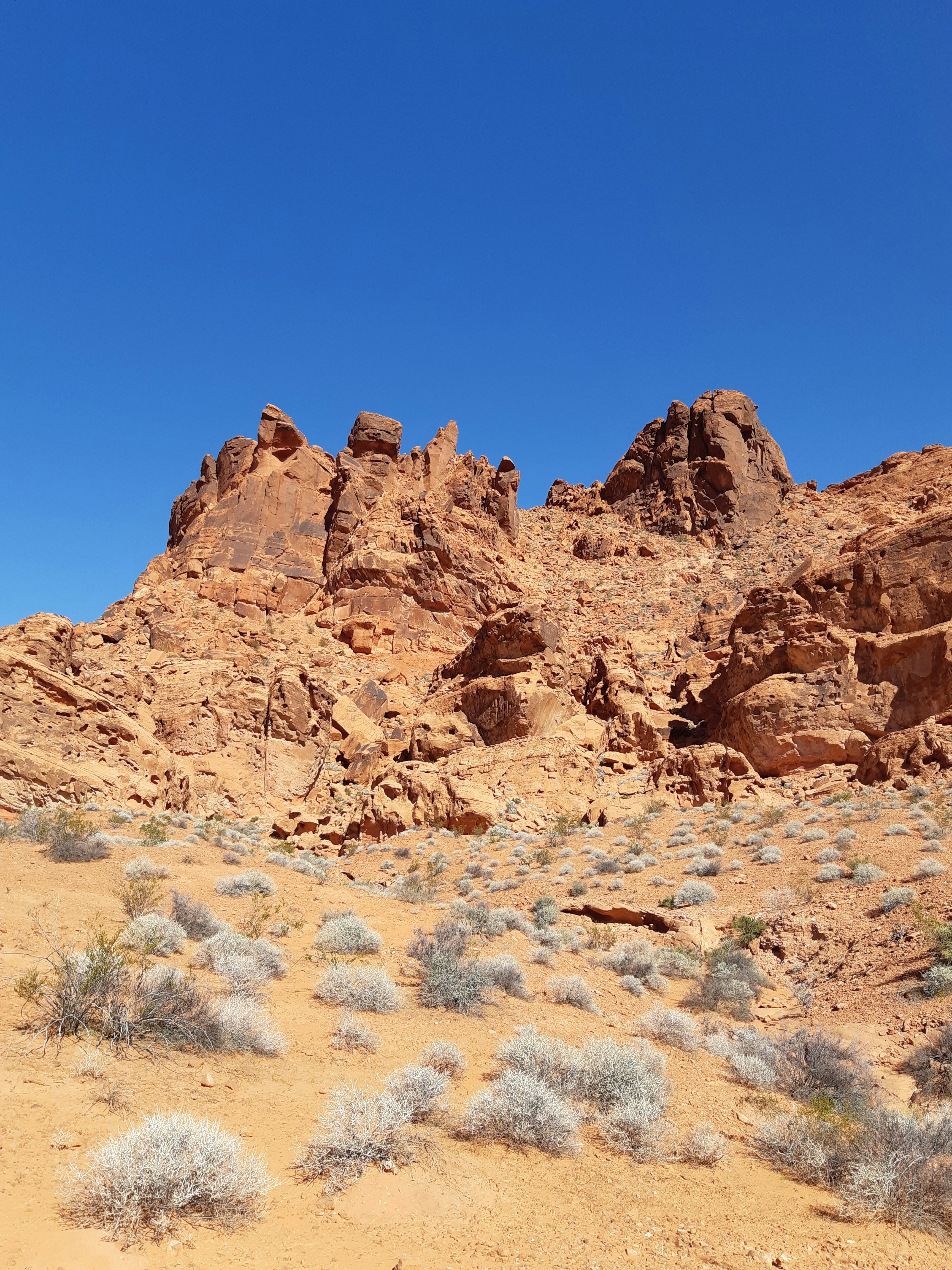 Photo by discover_decide_design