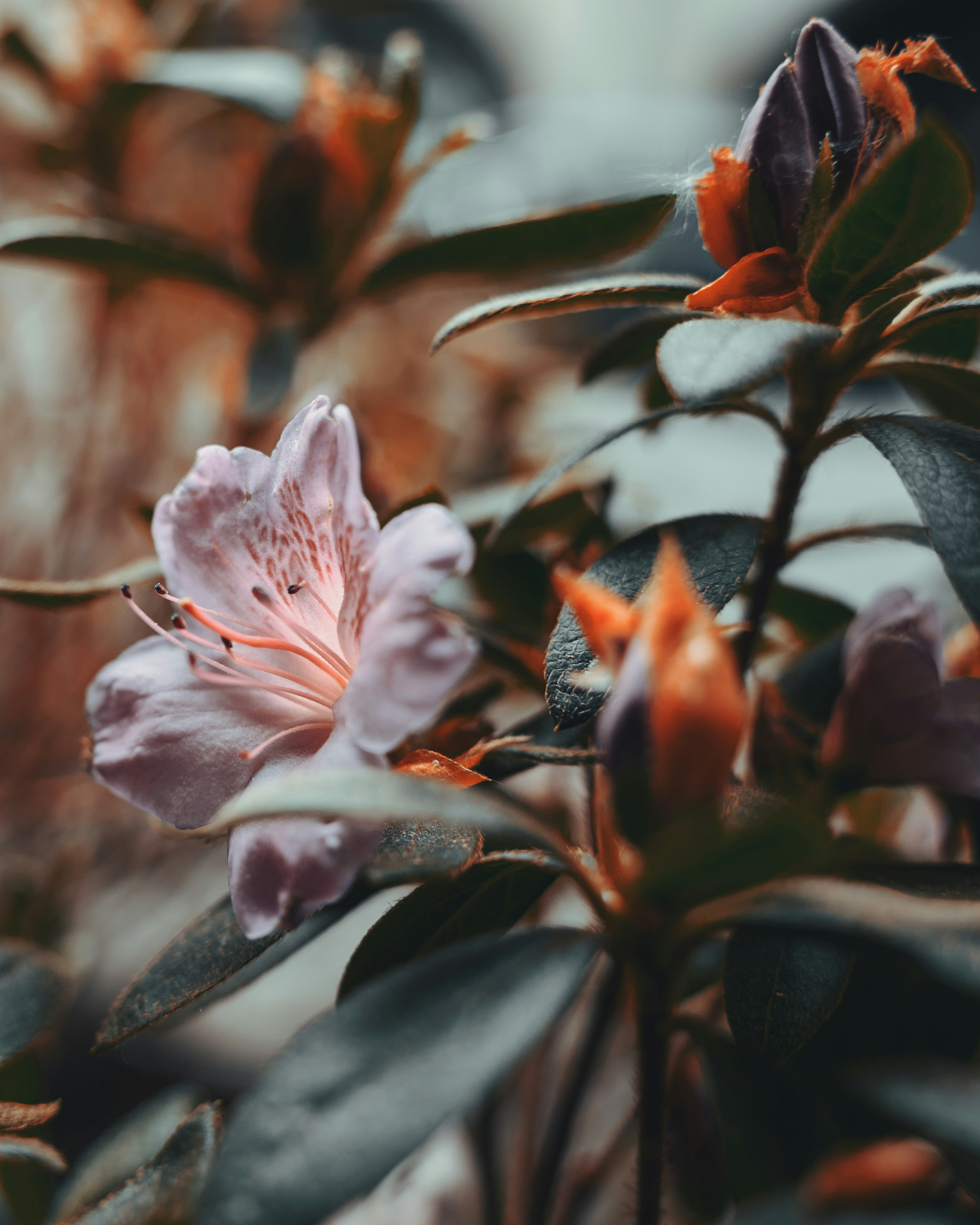 Photo by janik_clicks