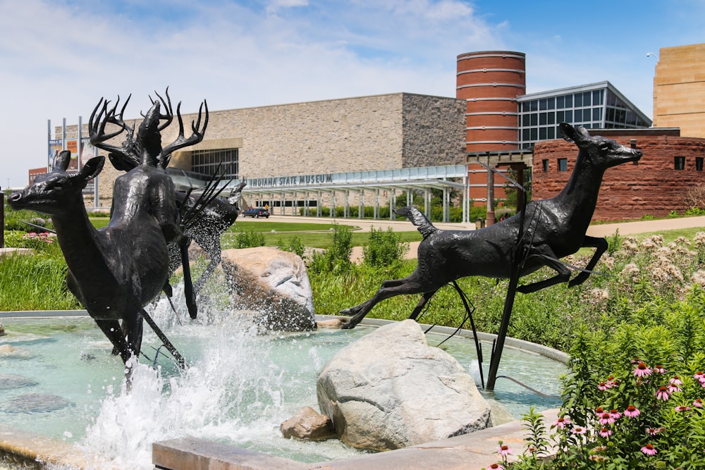 black horse statue on fountain during daytime