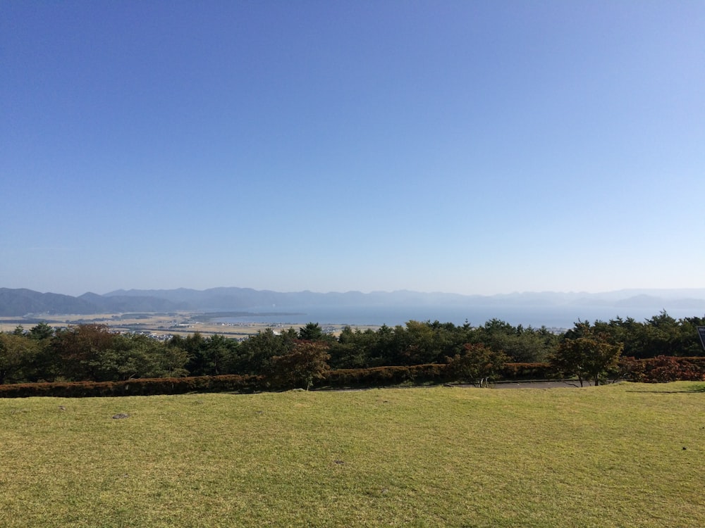 green grass field under blue sky during daytime