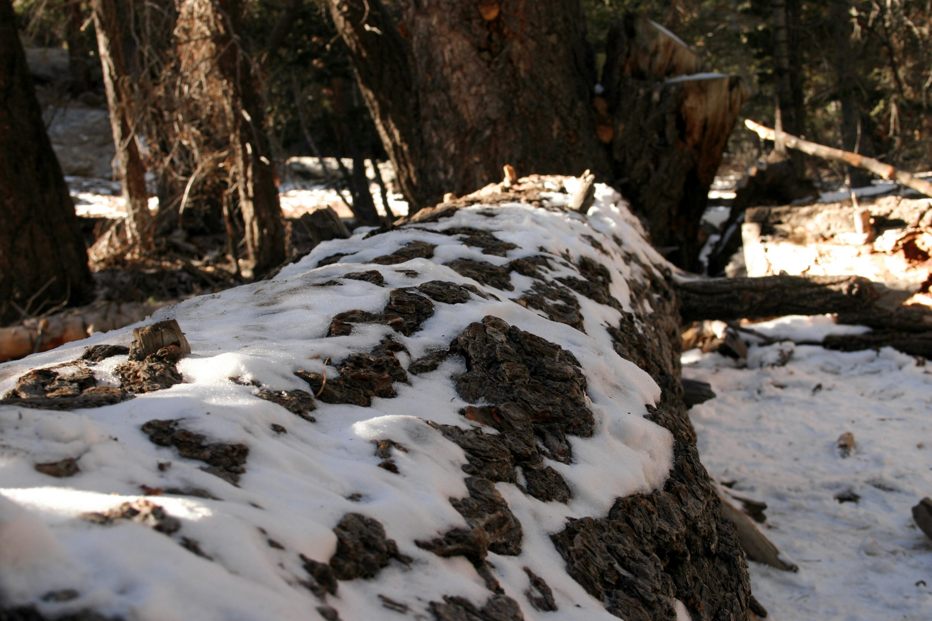 Photo by picsbyjameslee