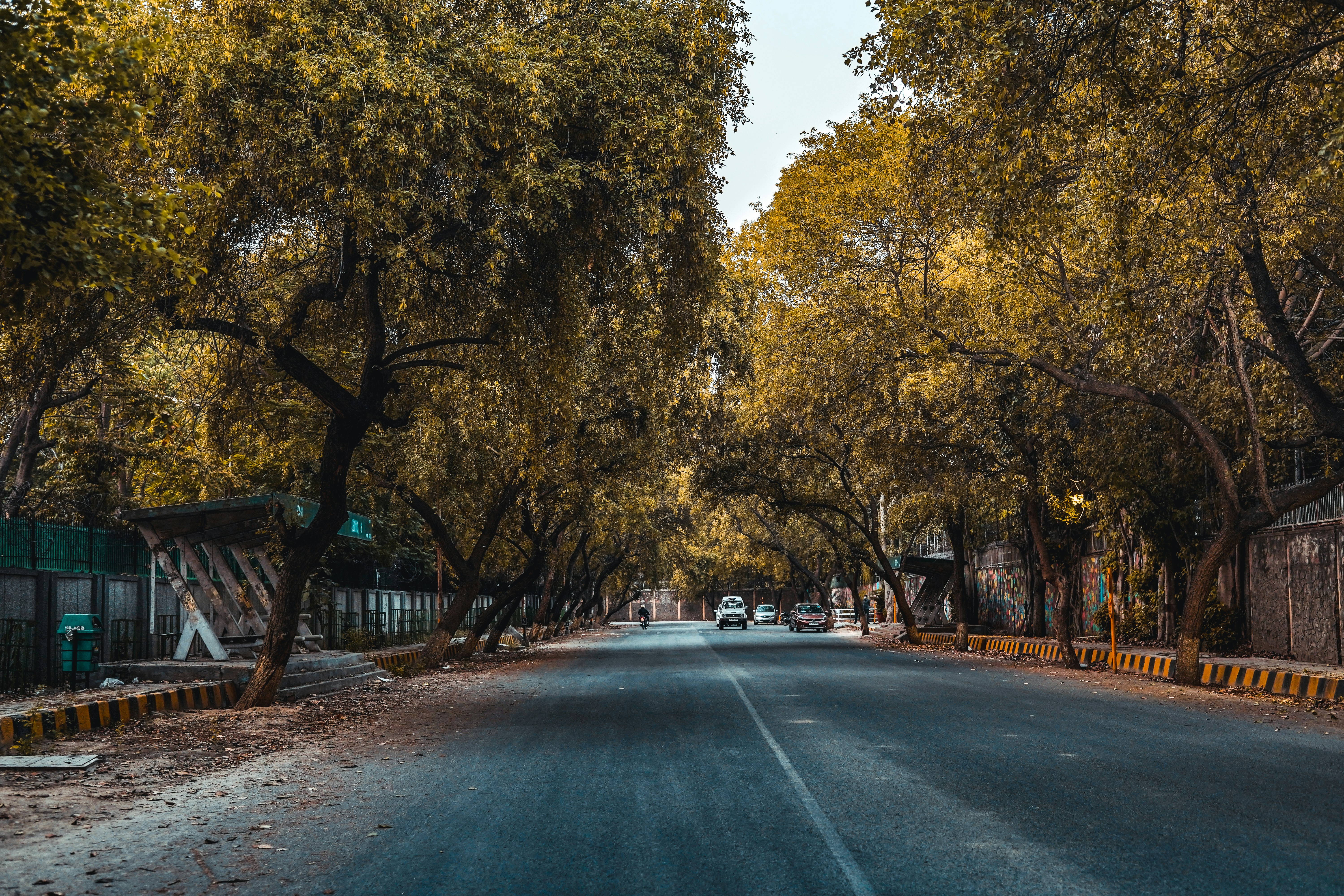 Photo by yogendras31