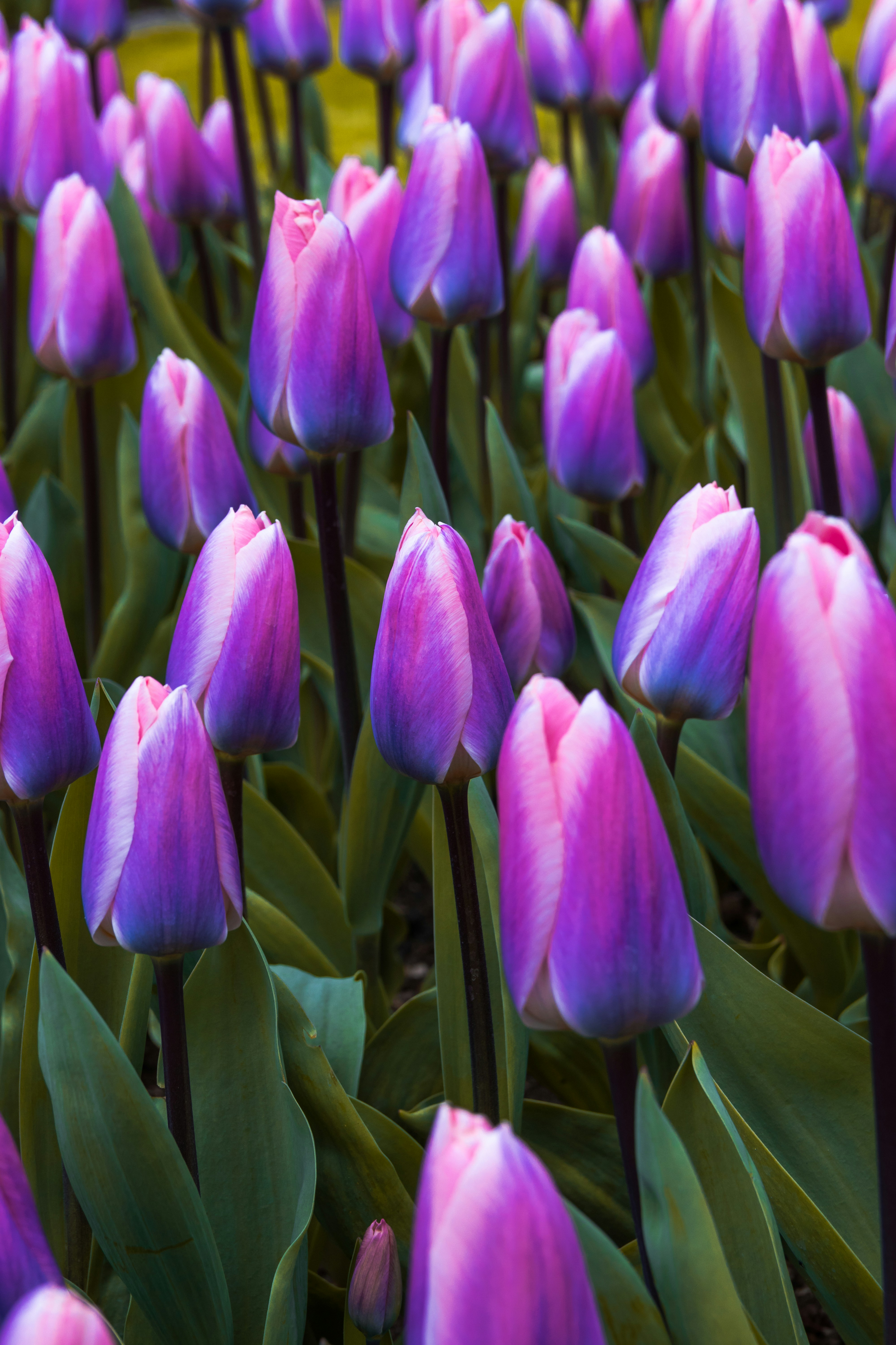 Photo by thomaspaulh70