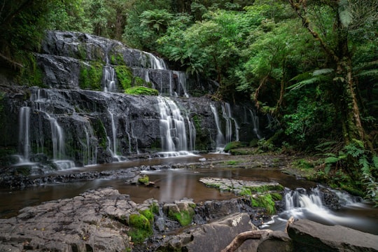 water falls in the middle of green trees in Purakaunui Falls New Zealand