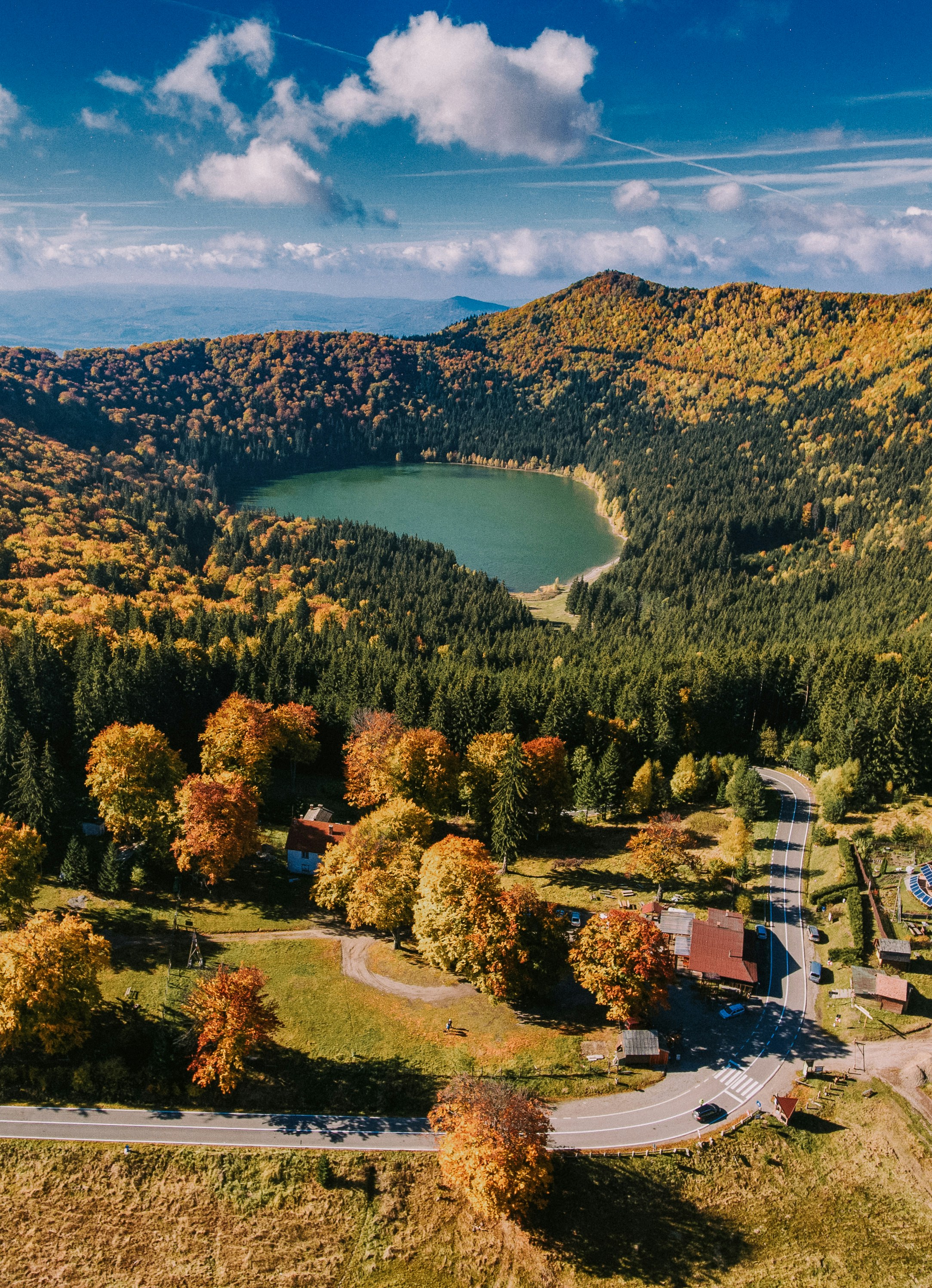green trees near body of water during daytime