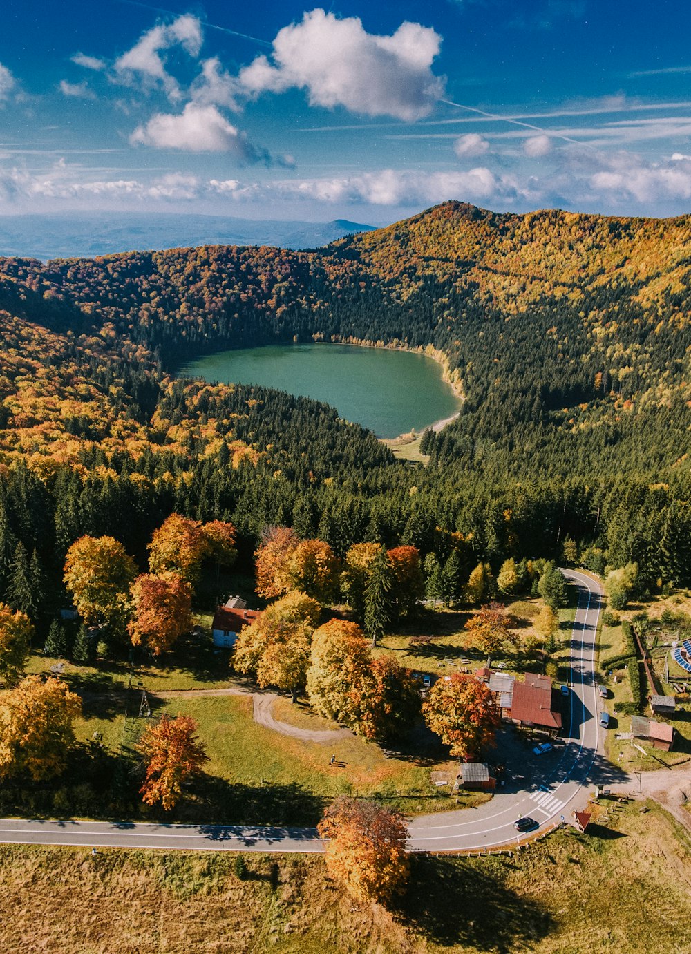 green trees near body of water during daytime