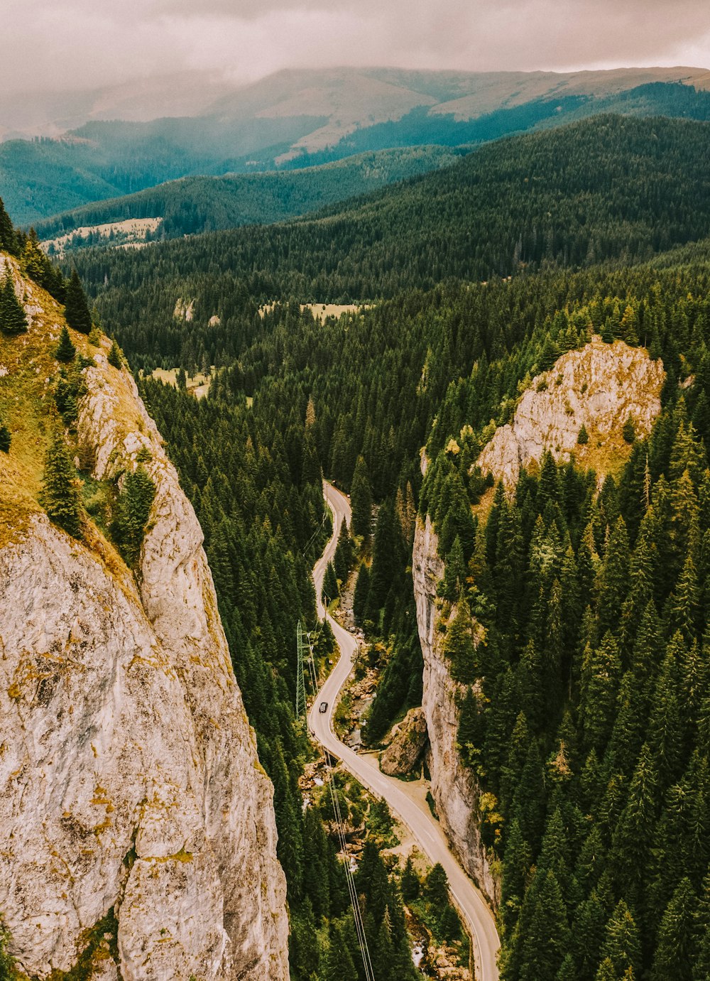 green pine trees on brown rocky mountain during daytime