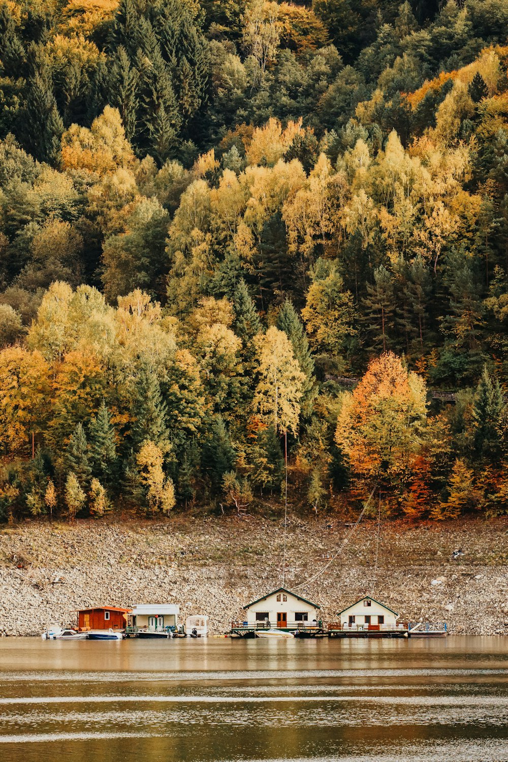 weißes und braunes Haus in der Nähe von grünen und gelben Bäumen tagsüber