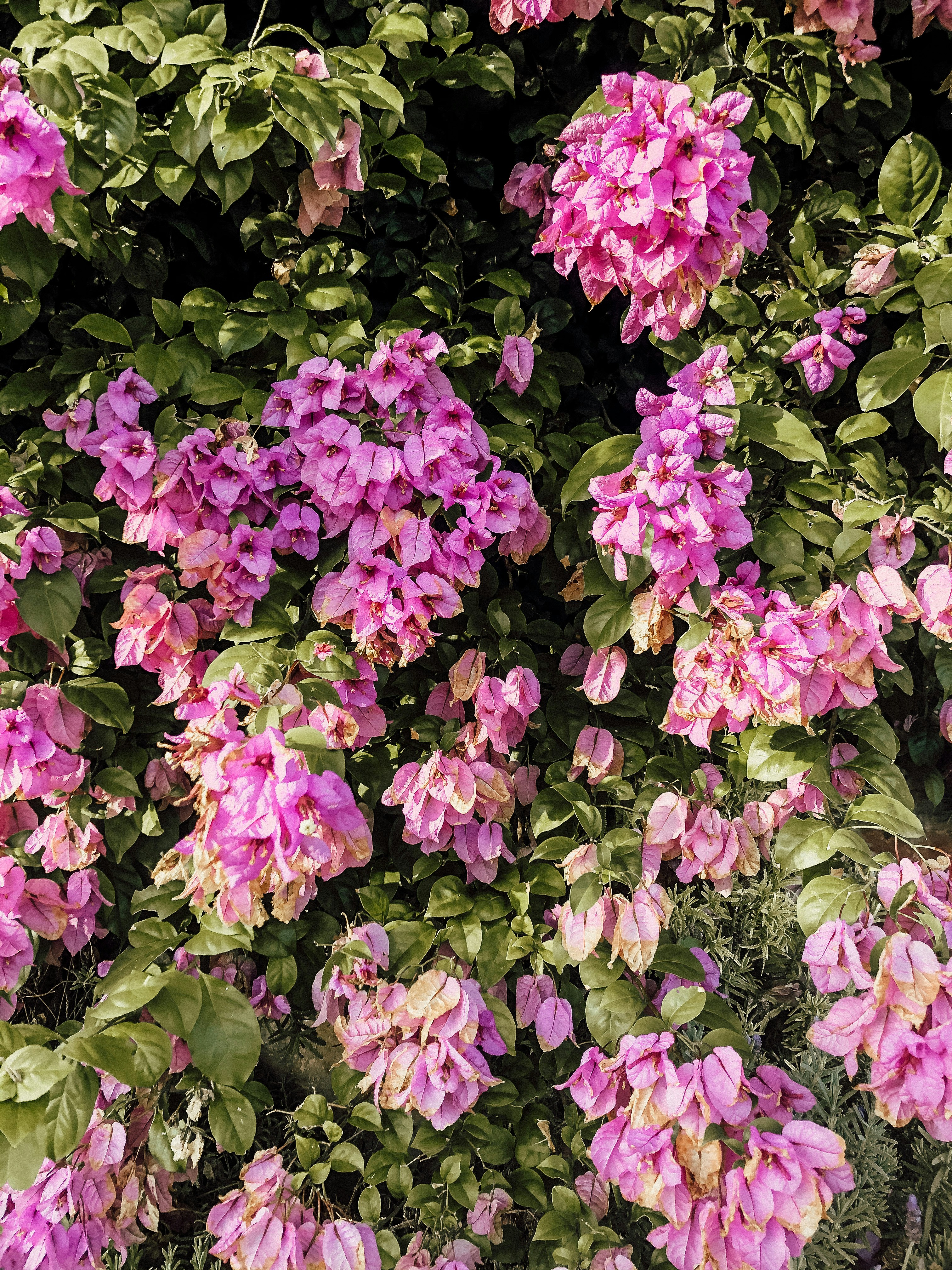 Photo by sincerelymedia