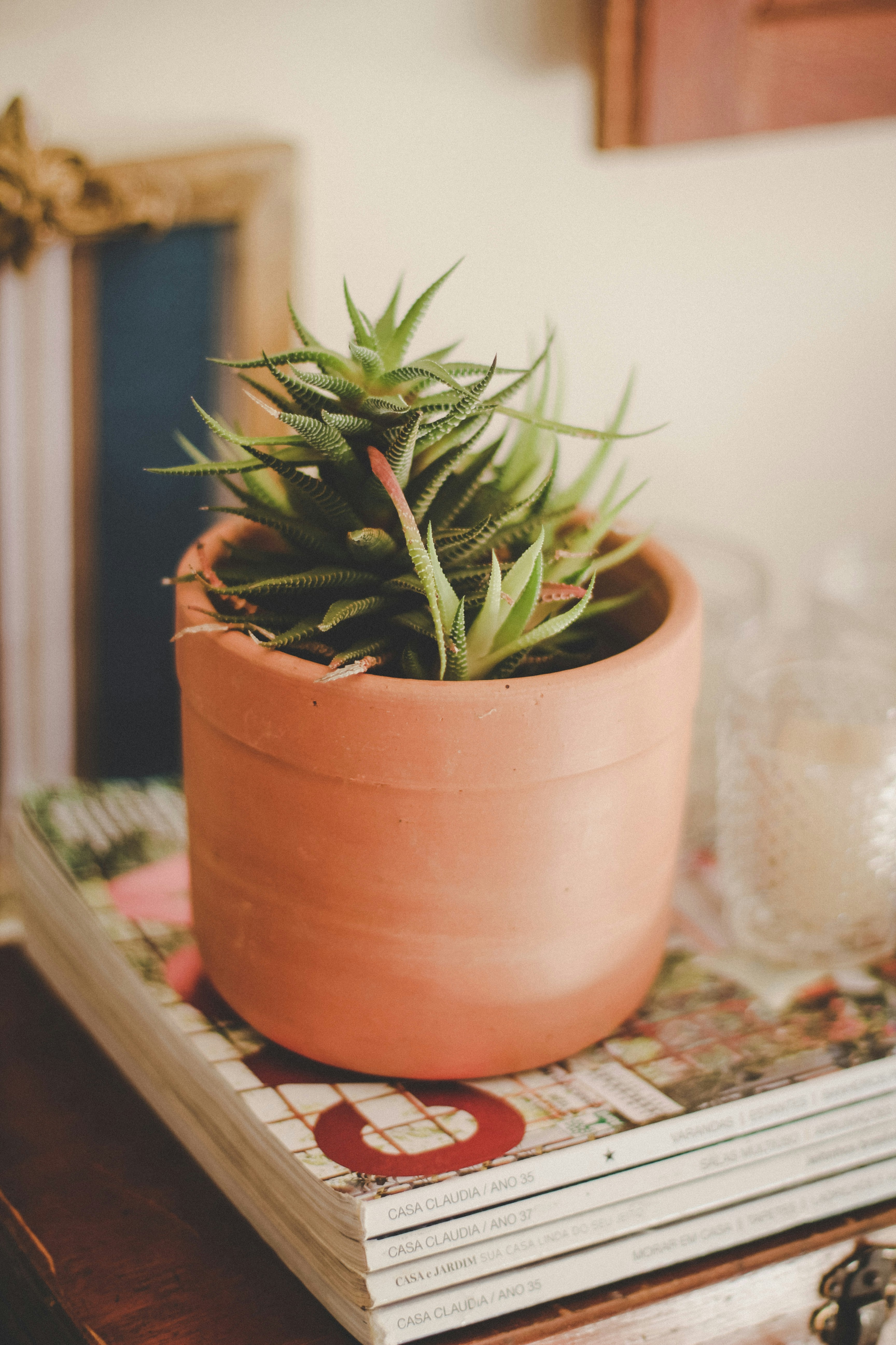 Photo by jornadaprodutora