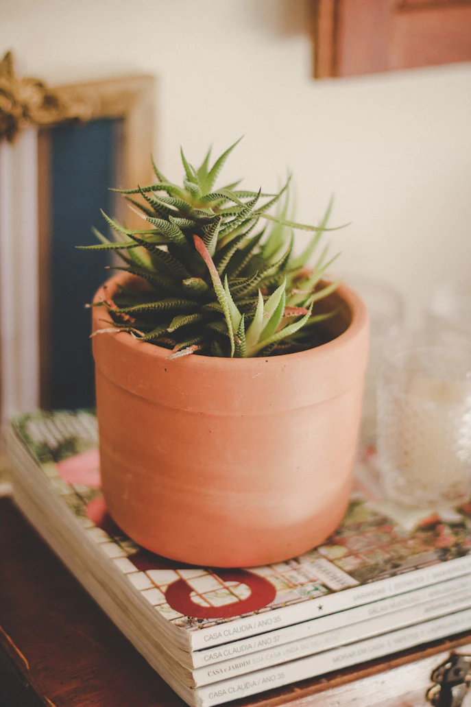 Terracotta Plant Pots Set in Organized Beautiful Home 2026