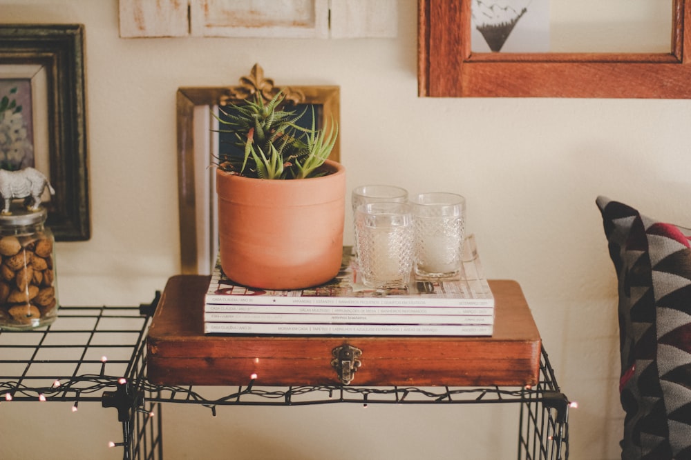 green plant on brown wooden table