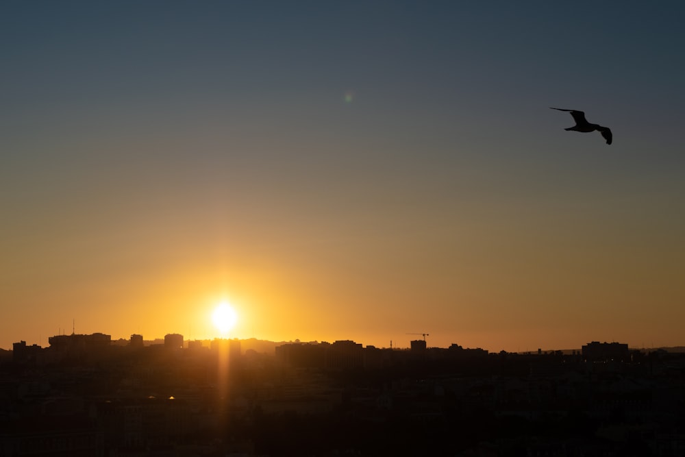 silhouette of building during sunset