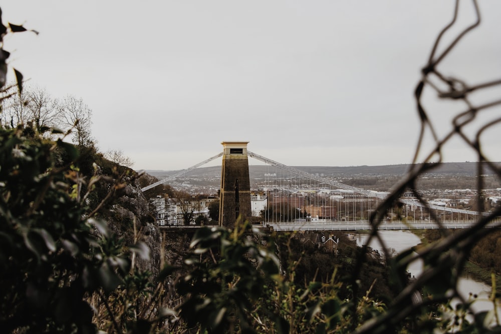 brown and white bridge under white sky during daytime