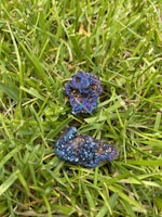 Two clusters of iridescent crystals with sharp edges lie on a bed of green grass. The crystals exhibit a vibrant spectrum of blues and purples, creating a striking contrast against the natural background.