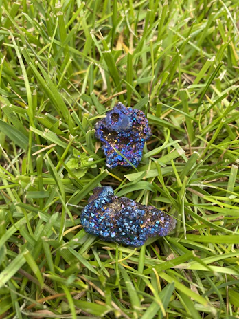 A cluster of colorful crystals nestled beside a rugged trilobite fossil.