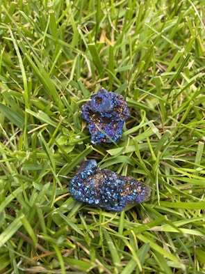 Two clusters of iridescent crystals with sharp edges lie on a bed of green grass. The crystals exhibit a vibrant spectrum of blues and purples, creating a striking contrast against the natural background.