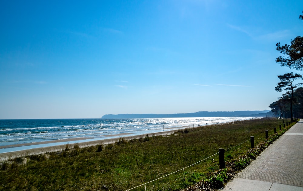 green grass near sea under blue sky during daytime