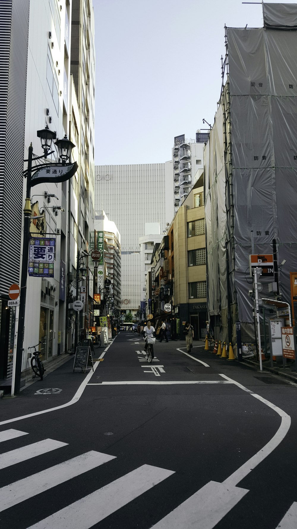 people walking on pedestrian lane during daytime