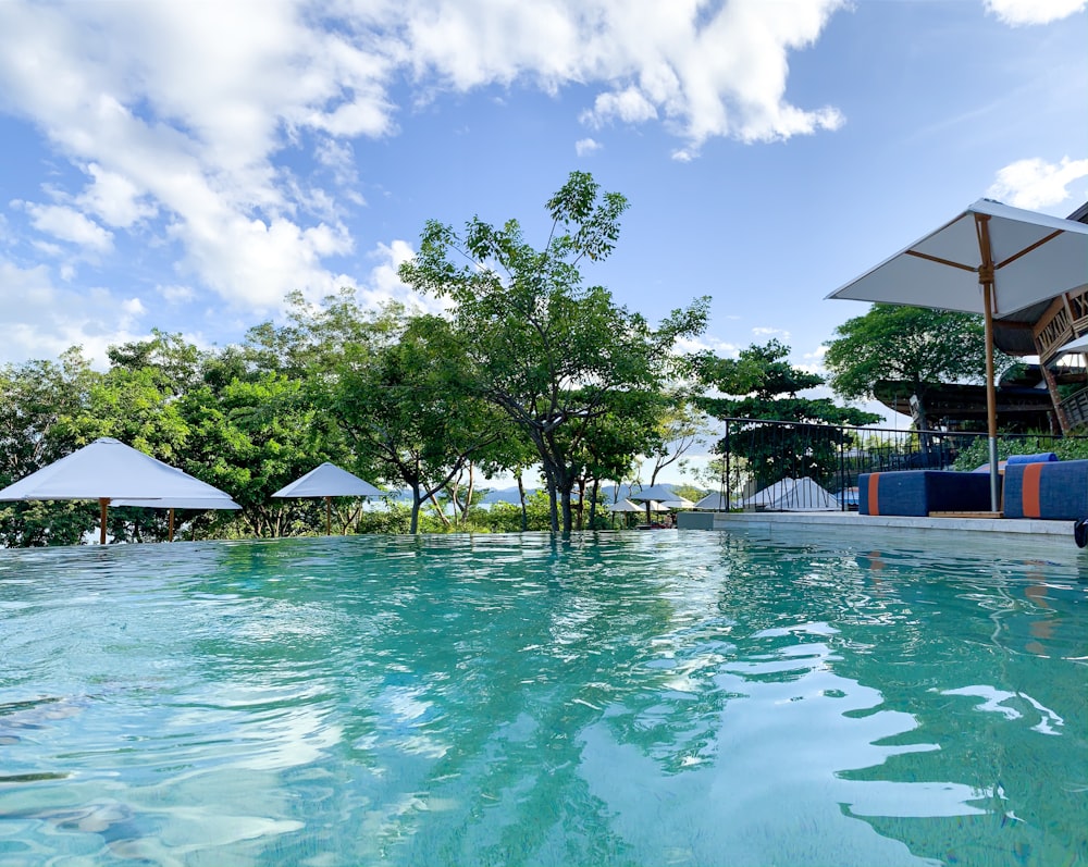 green palm trees near swimming pool under blue sky during daytime