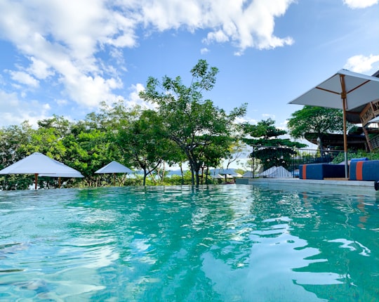 green palm trees near swimming pool under blue sky during daytime in Golfo de Papagayo Costa Rica