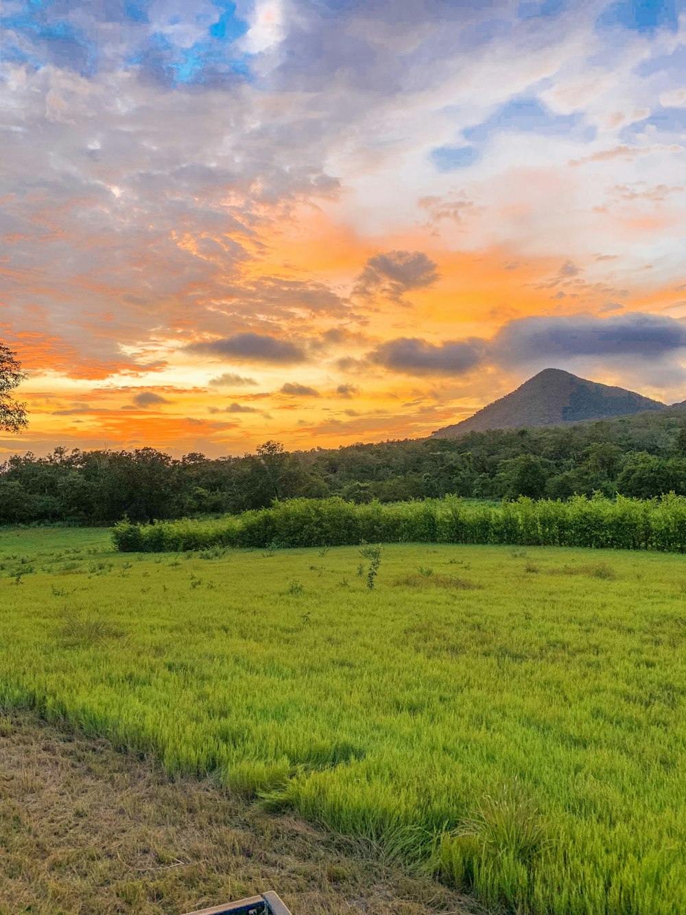 green grass field near mountain during sunset