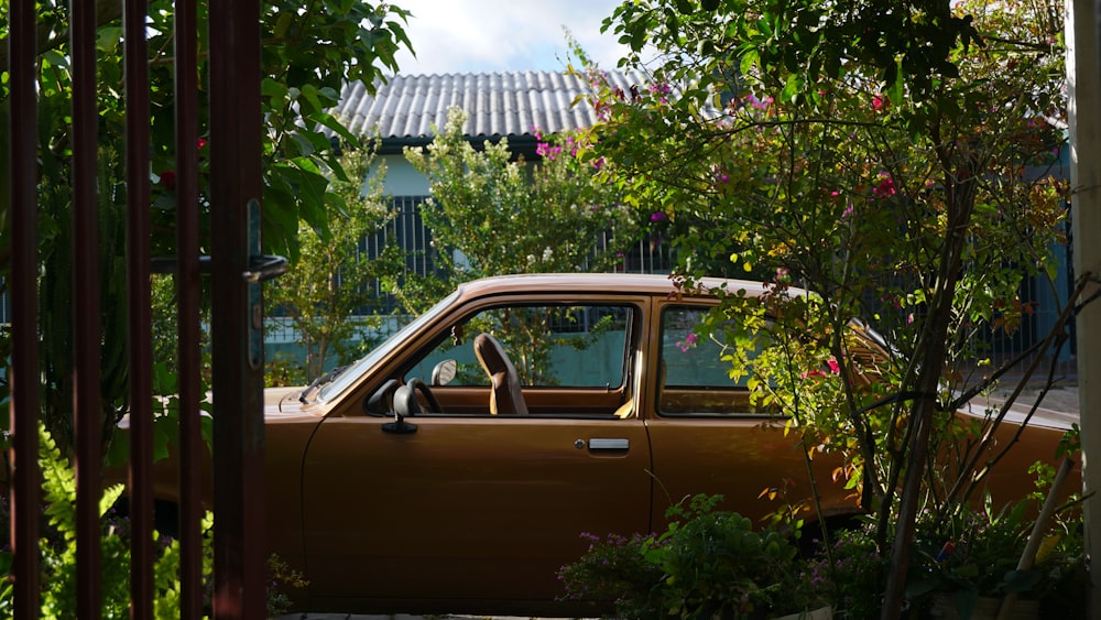 brown car parked near green tree during daytime