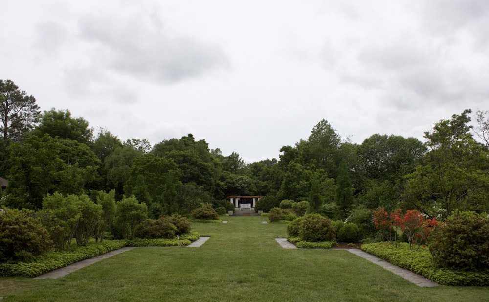 green grass field with trees and houses