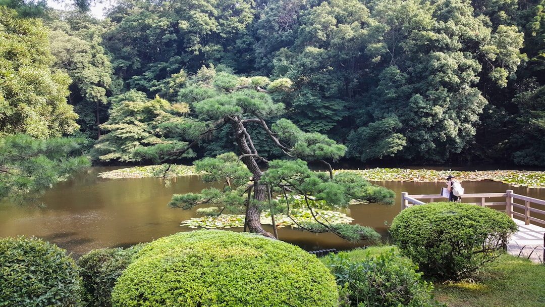 Nature reserve photo spot Tokyo Chiyoda City