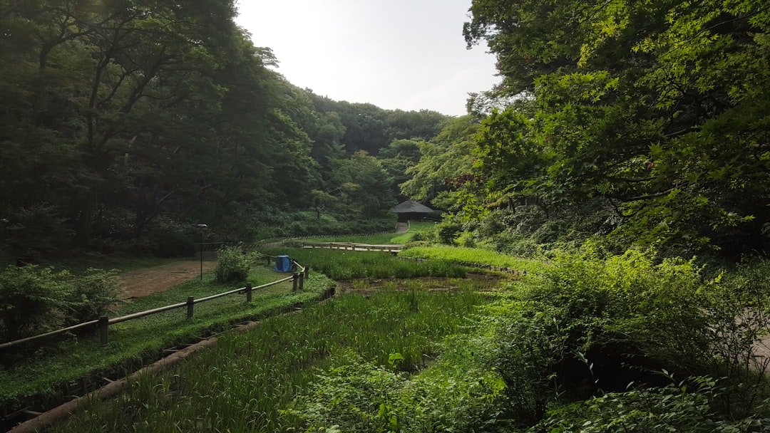 Nature reserve photo spot Tokyo Kiyosumi Garden