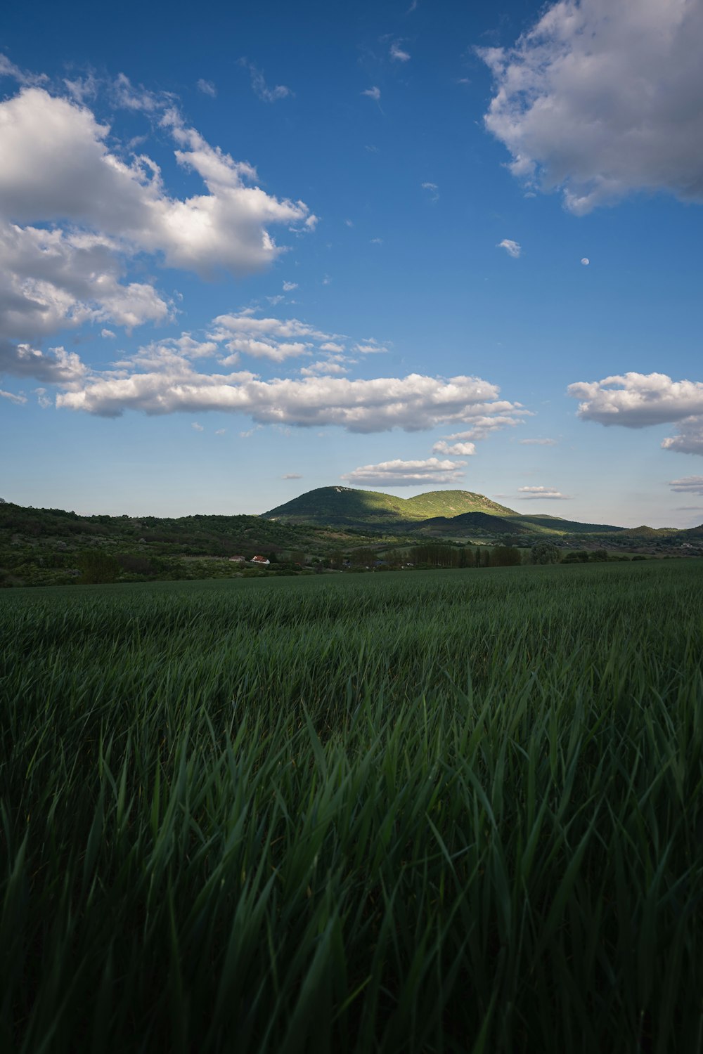 green grass field near mountain under blue sky during daytime