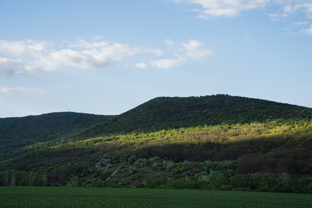 campo di erba verde e montagna sotto il cielo blu durante il giorno