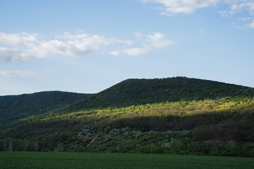 green grass field and mountain under blue sky during daytime